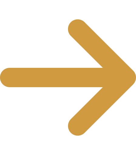 Brampton Disability Lawyer