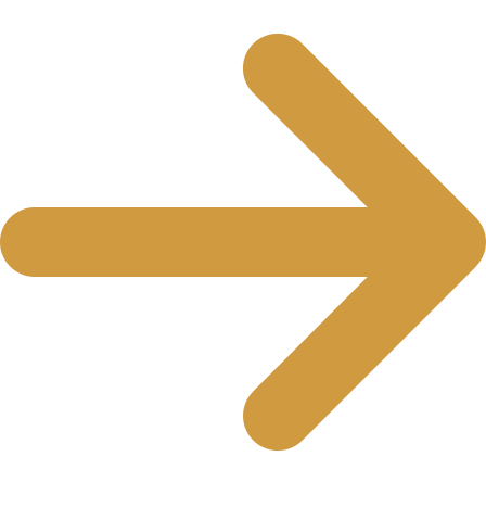 Brampton Employment Lawyer